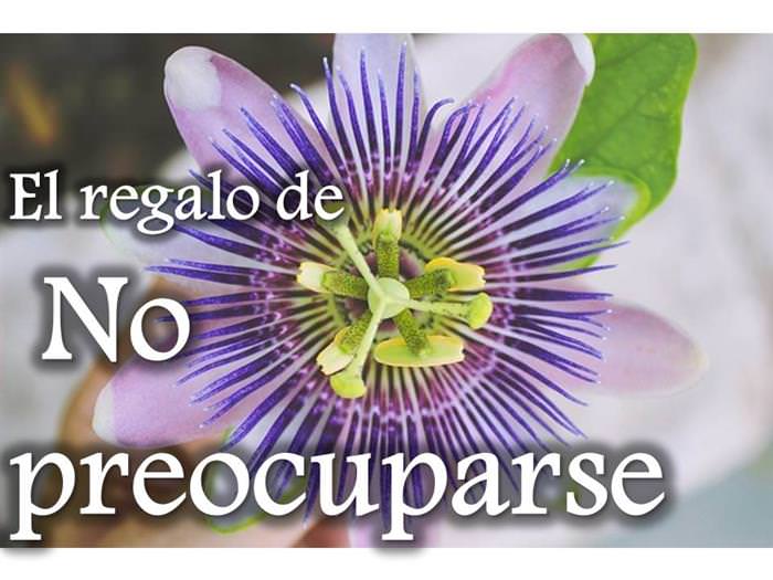 7 regalos para un amigo