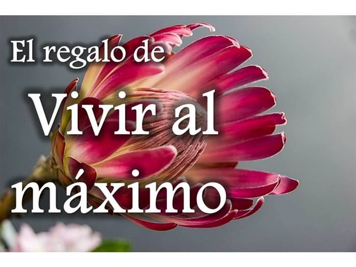7 regalos para un amigo