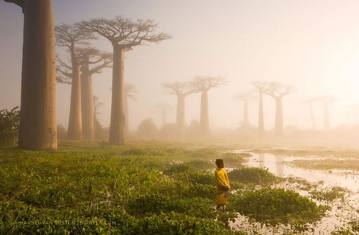 2015: Las Mejores 20 Fotografías del National Geographic