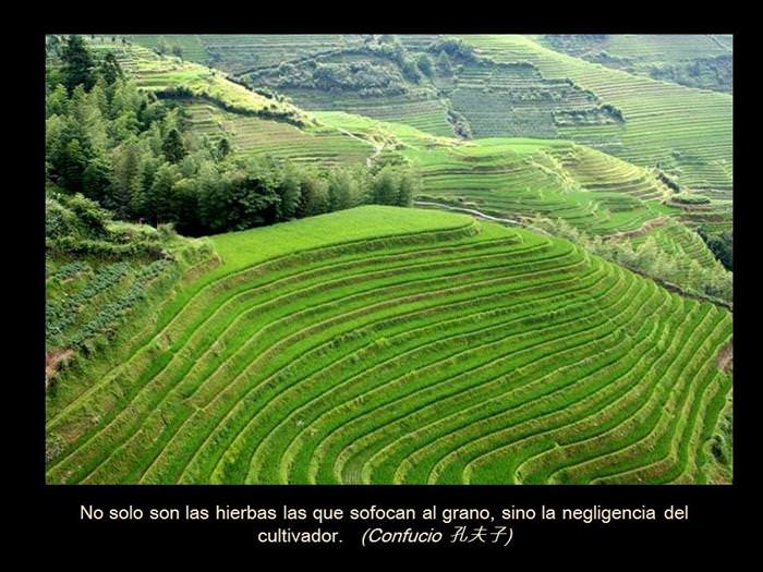 Consejos sabios