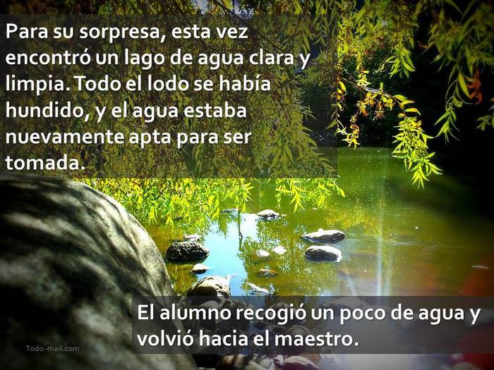 cuento, el sabio maestro y el río