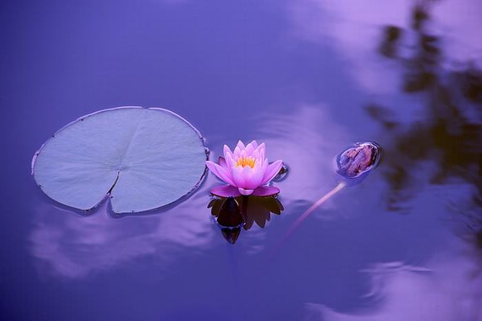 técnicas meditación