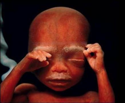 El Hermoso Milagro De La Concepción De La Vida