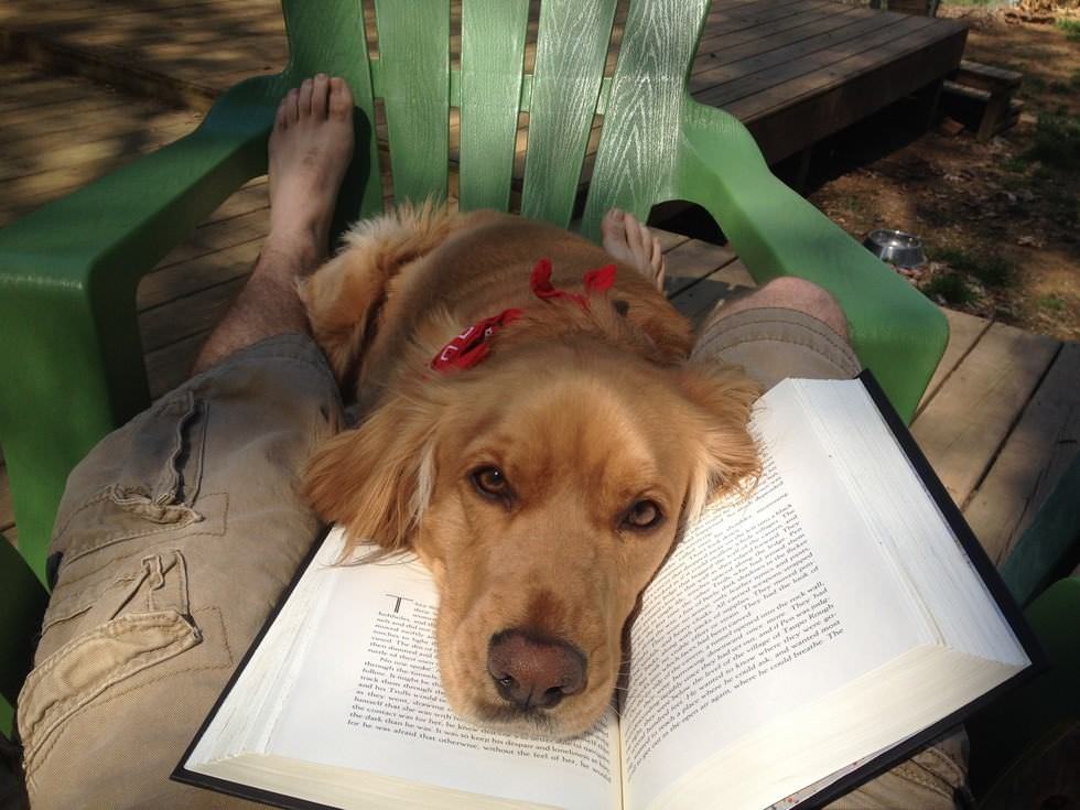 Mascotas y libros