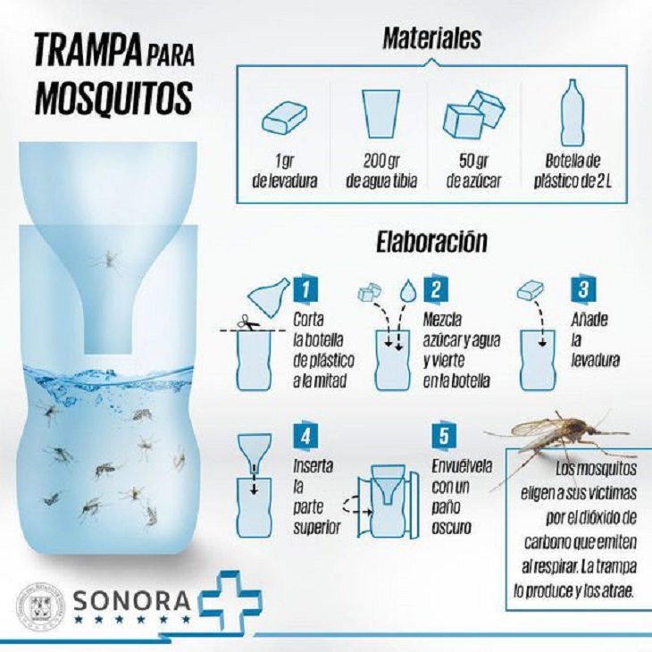 trampa mosquitos