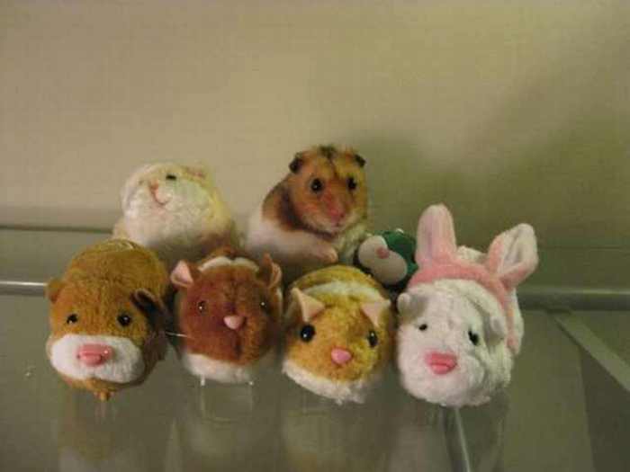 Animales Y Peluches