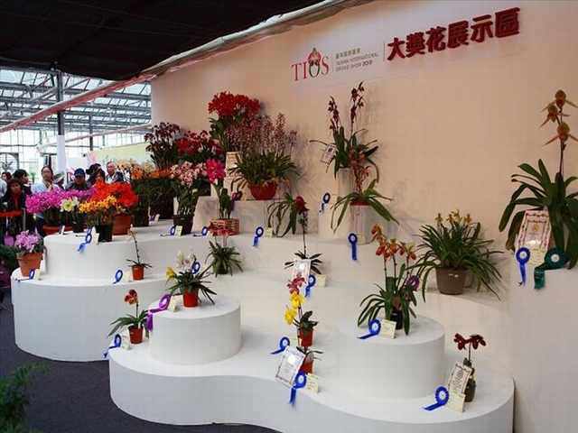 Festival de la Orquídea