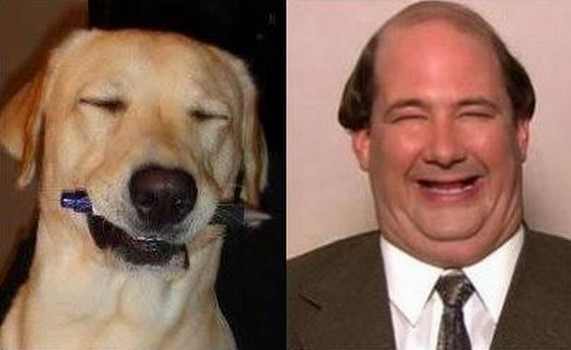 Imágenes de perros parecidos a personas
