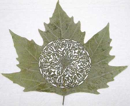 hojas talladas