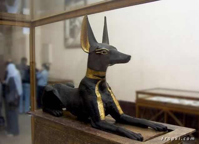 Museo egipcio
