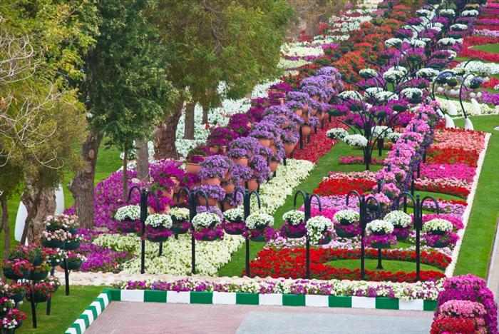 Jardín Al Ain