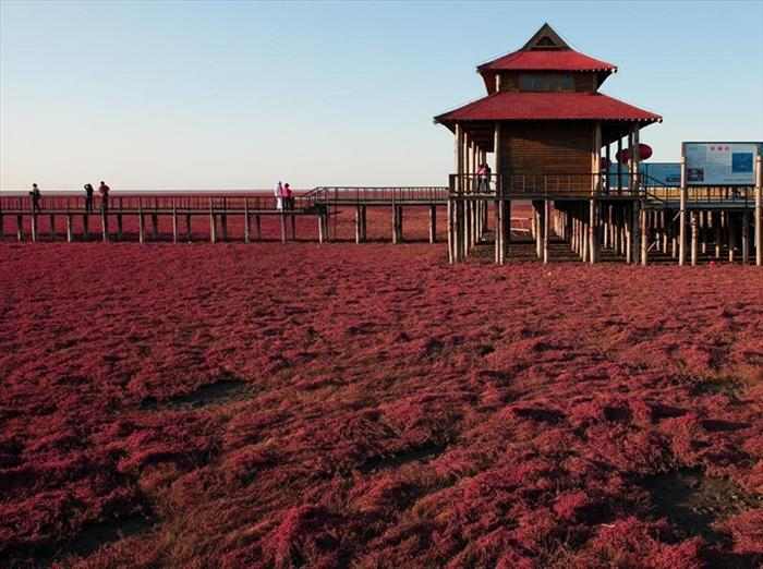 Playa roja