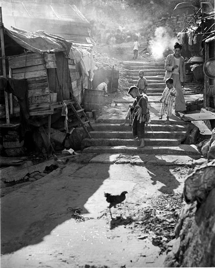 Hong Kong 1950