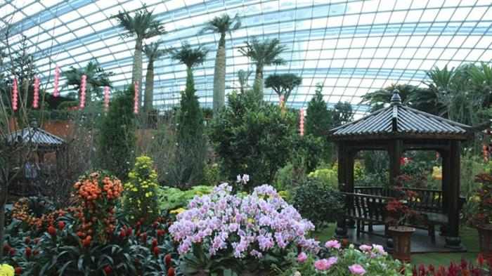 Imagenes Jardin Singapur