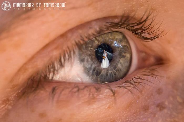 Este Fotógrafo Captura Imágenes A través De Los Ojos