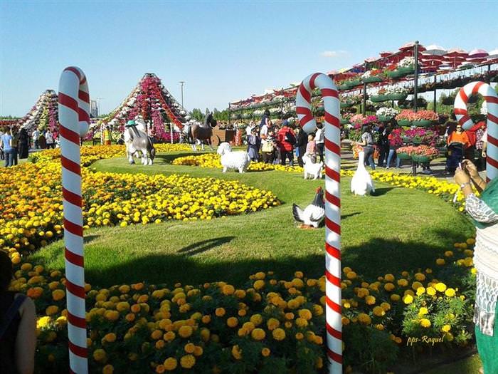 Jardín Milagro En Dubái