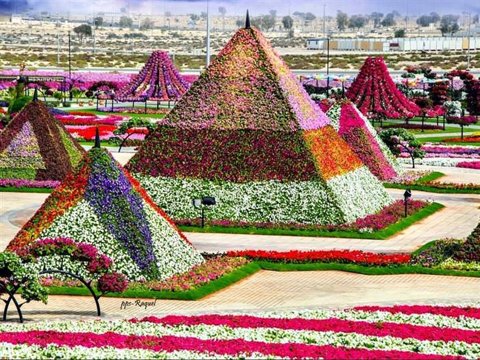 Jardín Milagro En Dubái