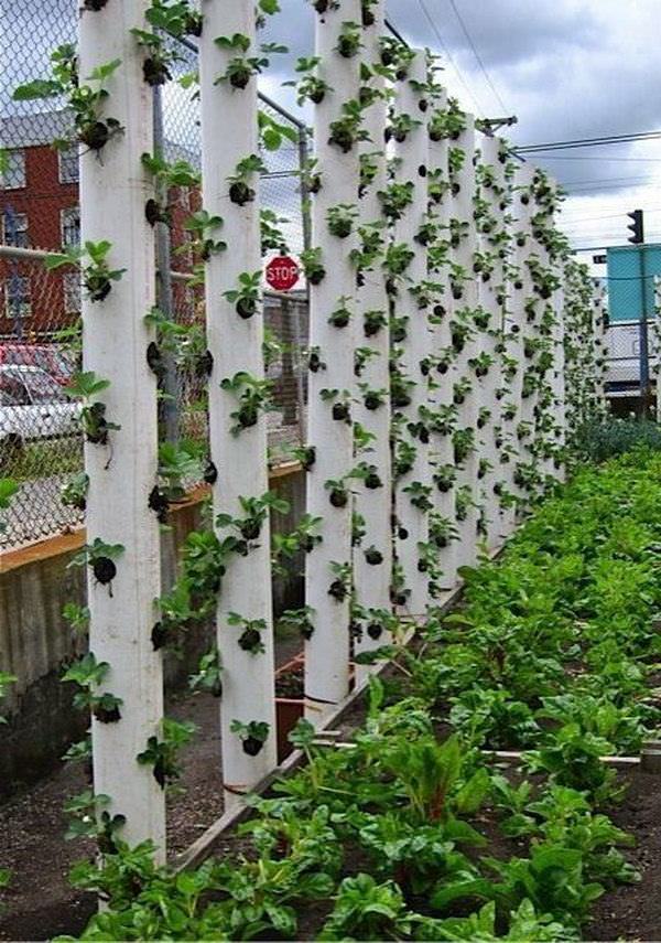Jardines verticales