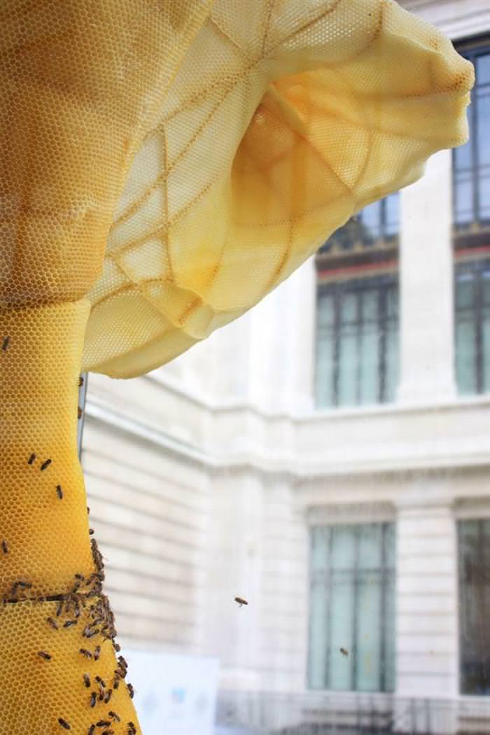 Arte con abejas