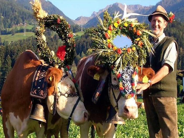 Festival Tirolés