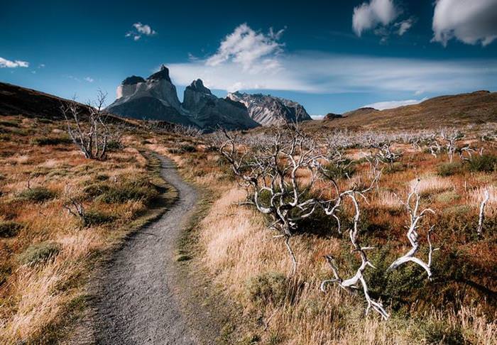 Un Viaje Fotográfico Por La Patagonia