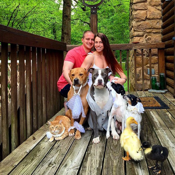 familia adoptó animales durante 10 años