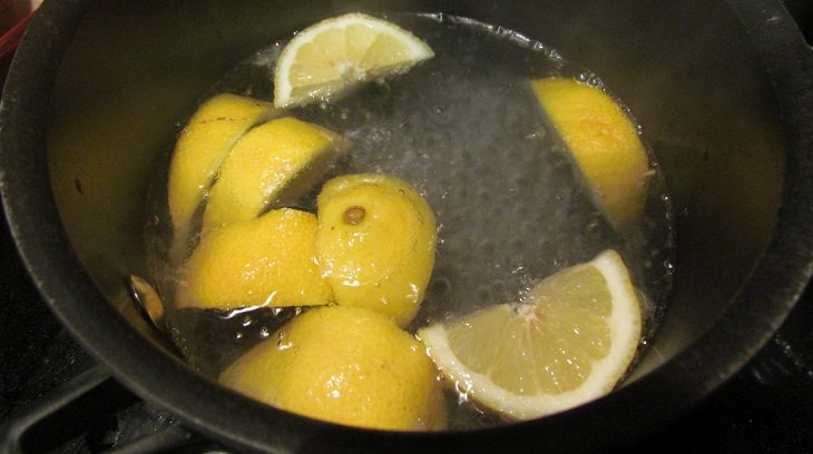 limones y horno para eliminar plagas