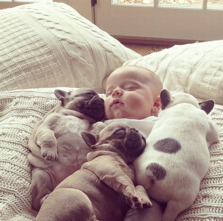 niños y perros siesta