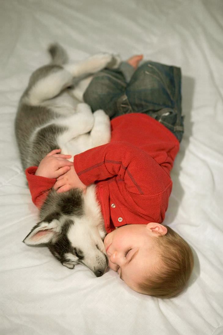 niños y perros siesta