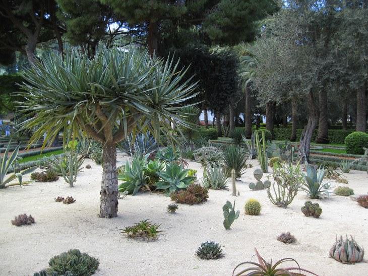 jardines Israel