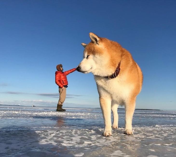 11 Fotos Incre bles Con Una Perspectiva Diferente Dise o Y Fotograf a