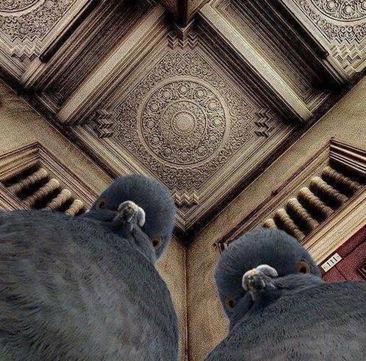 11 Fotos Incre bles Con Una Perspectiva Diferente Dise o Y Fotograf a