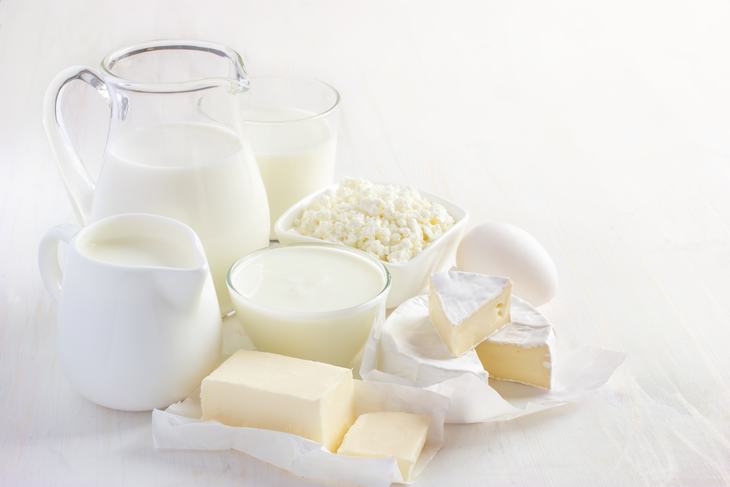 Probióticos y digestión lácteos
