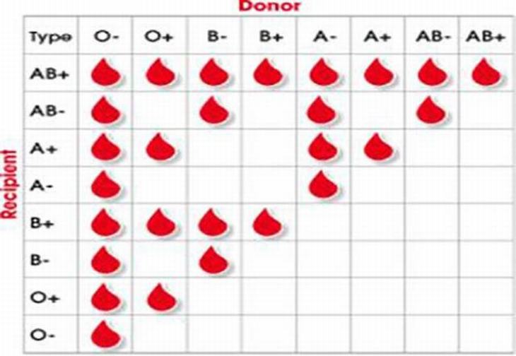 20 datos tipo de sangre