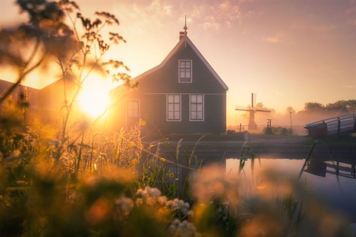 fotos molinos holandeses nieble