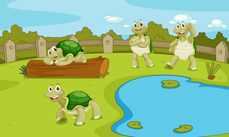 historia tortugas