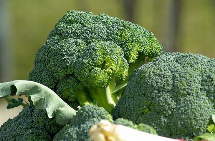 sistema inmune comidas brocoli