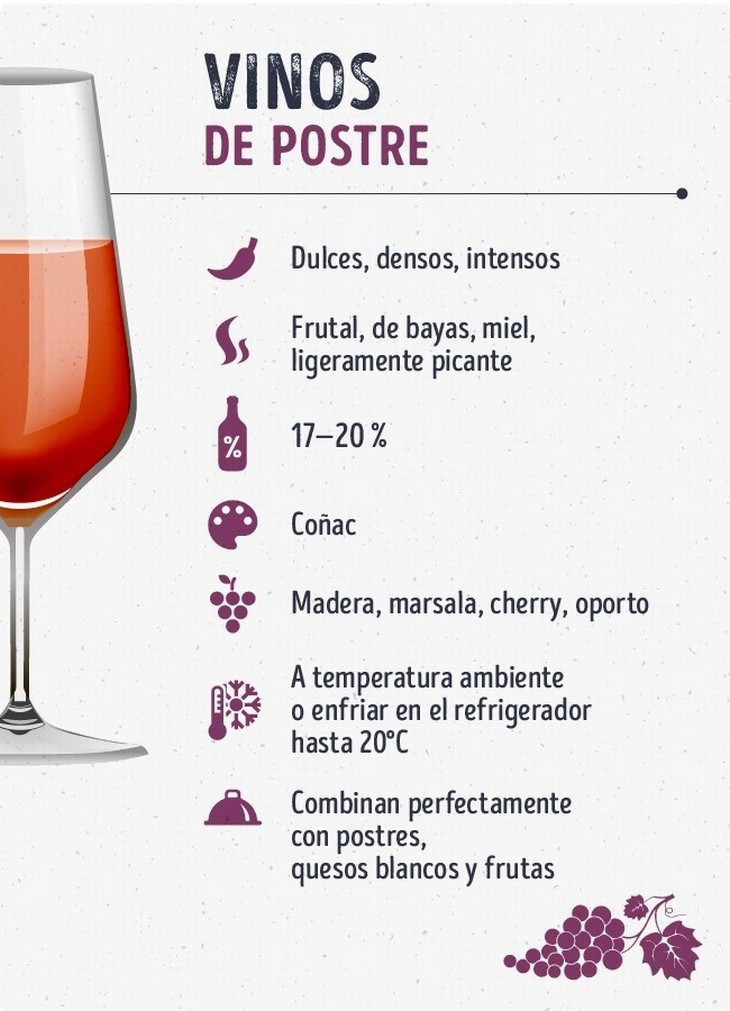 guía de vinos especialista