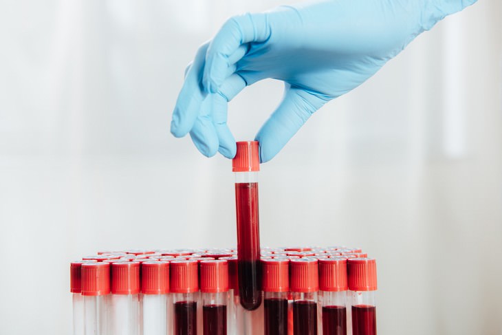 10 datos curiosos sangre