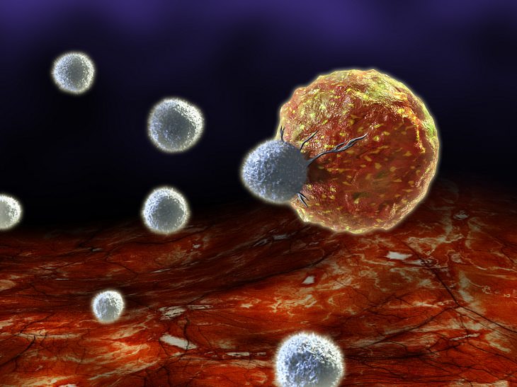 nueva vacuna cáncer probada en ratones