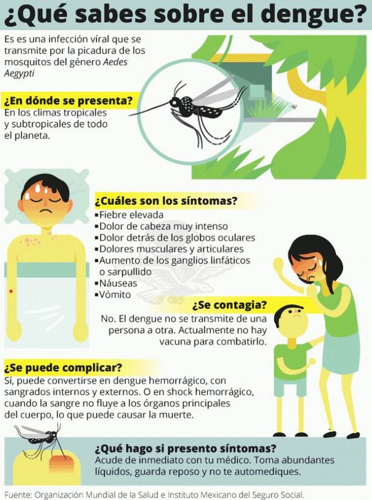 Prevención Del Dengue infografía