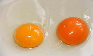 7 posts con información sobre huevos