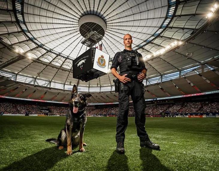Perro policía en estadio