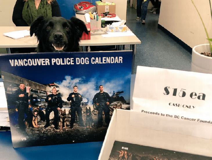 Perro mostrando el calendario de perros policías