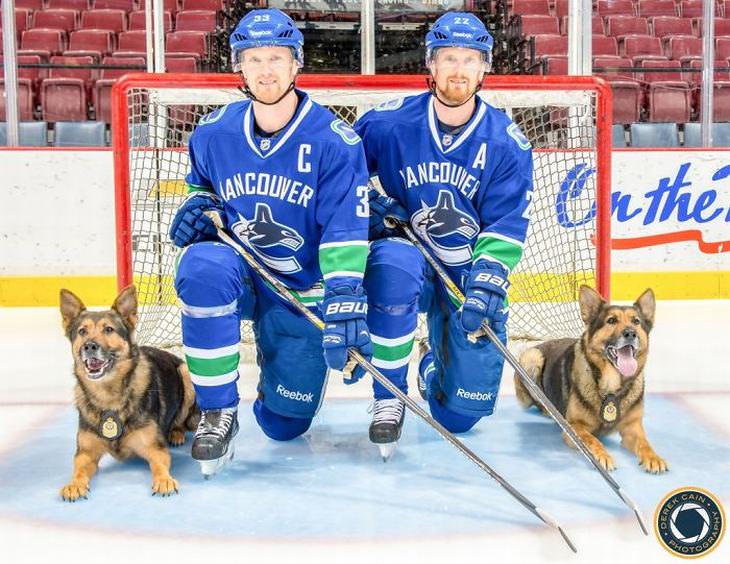 perros policías con jugadores de hockey