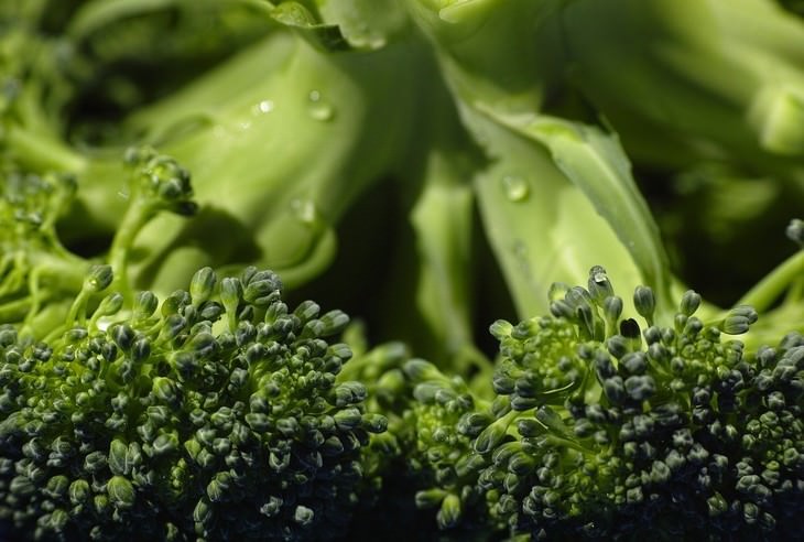 Alimentos Tóxicos Brócoli