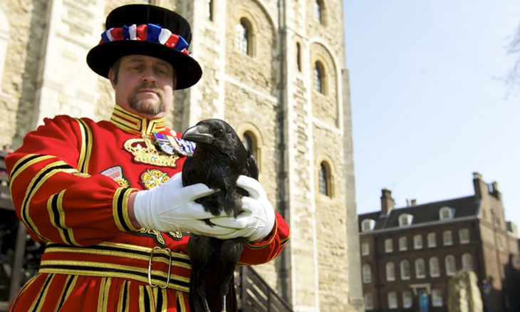 Datos Extraños La Torre de Londres tiene un maestro de los cuervos