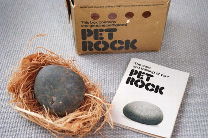 15 Objetos Vintage Para El Recuerdo  A Pet Rock 