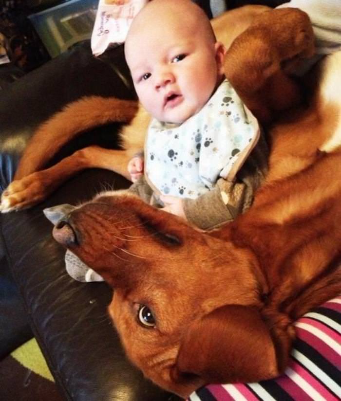 Imágenes De Niños y Sus Mascotas Bebé y perrito recostados en sillón