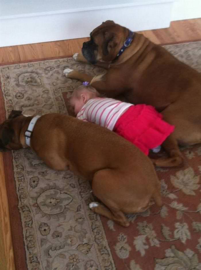 Imágenes De Niños y Sus Mascotas Niña recostada en alfombra con perros